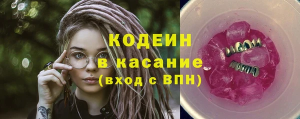 хмурый Абаза