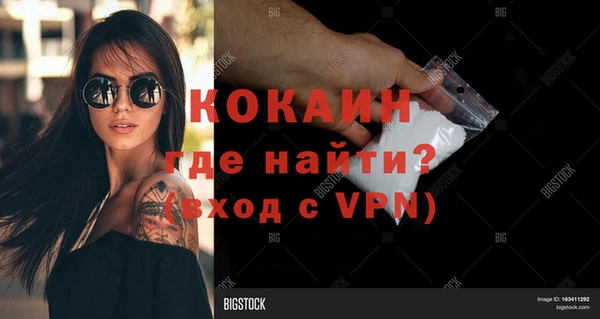 хмурый Абаза