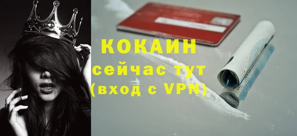 хмурый Абаза