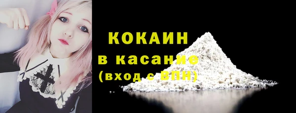 хмурый Абаза