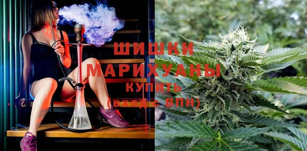 хмурый Абаза