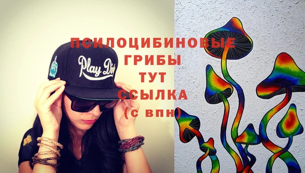 дурь Пестово