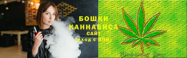 хмурый Абаза