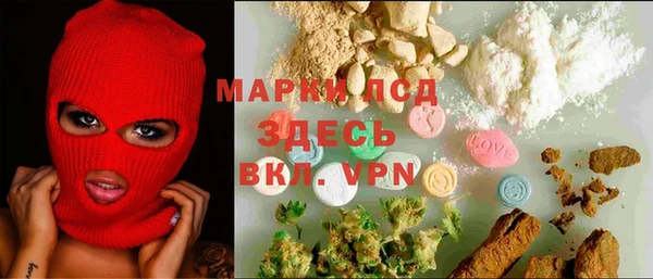 хмурый Абаза