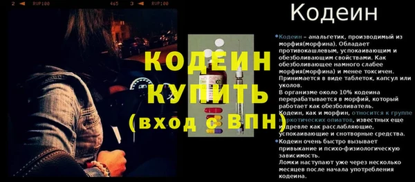 хмурый Абаза