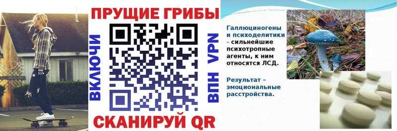 сколько стоит  Черногорск  Псилоцибиновые грибы Magic Shrooms 